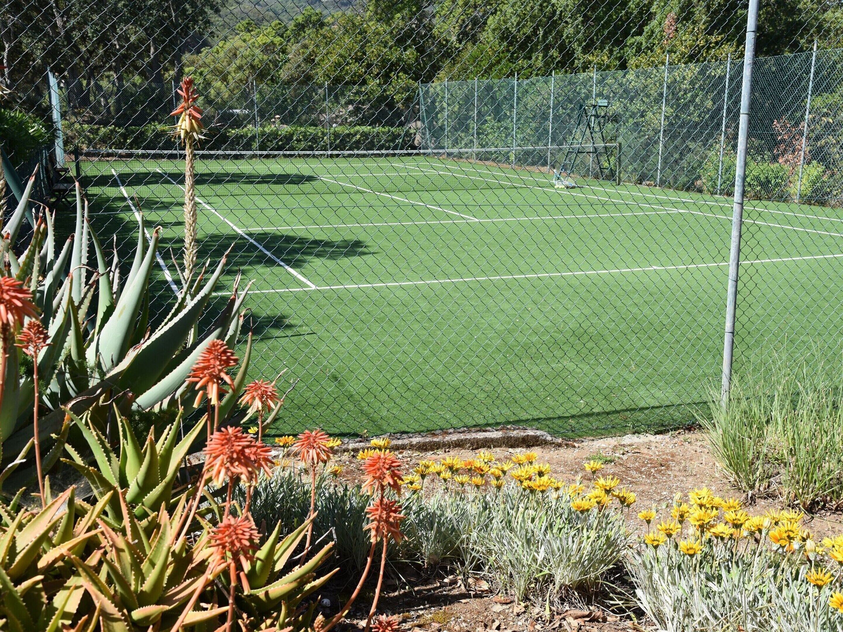 A tennis court surrounded by a chain-link fence, with various plants and flowers in the foreground.