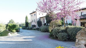 A residential area with a gravel driveway, flowering plants, and a building with a stone facade.