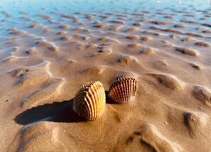 Apartment | View from property - Apartment by the Marotta Beach (Mondolfo)