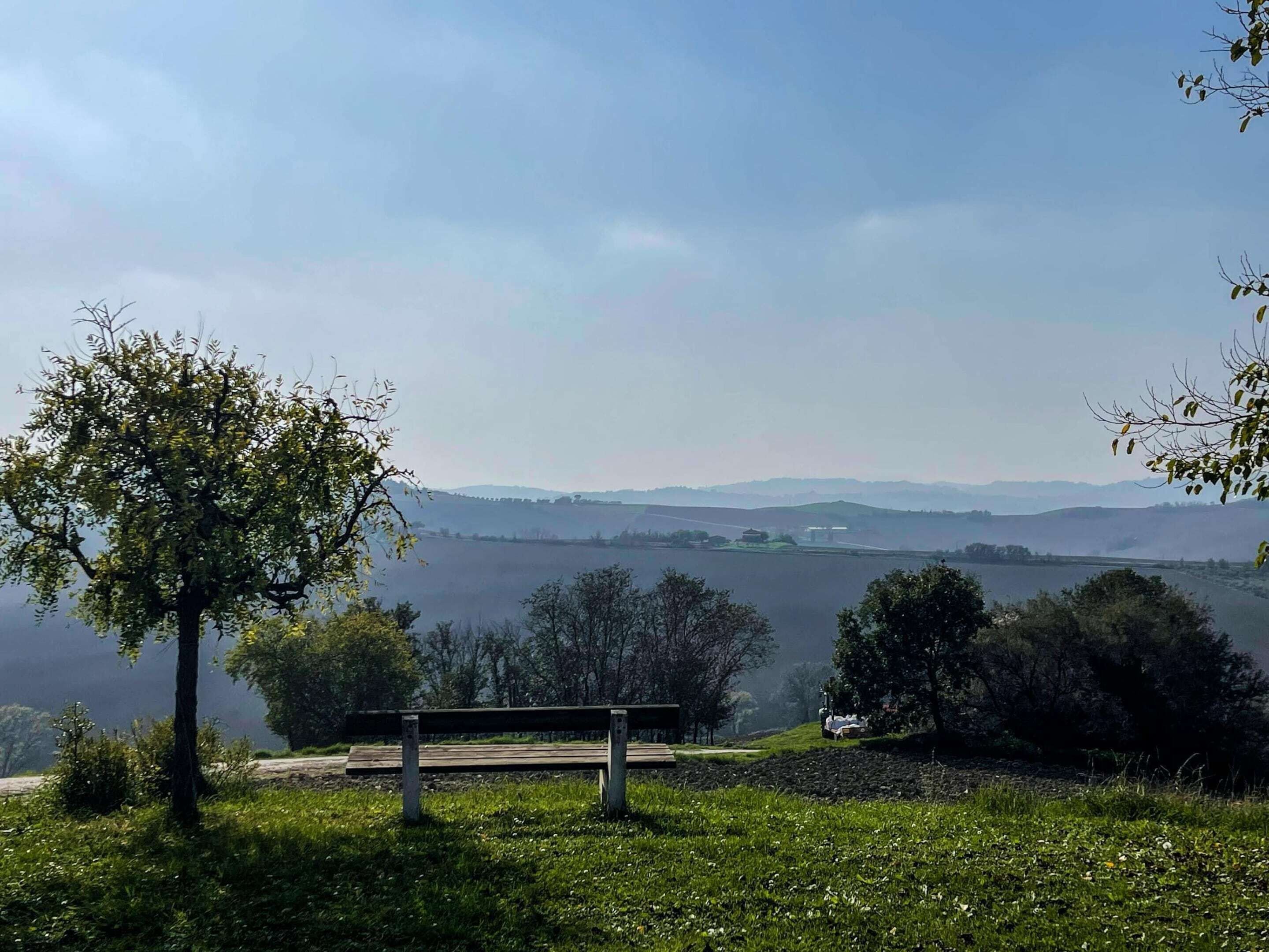 Um banco com vista para um lago e colinas ao longe.