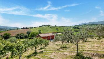 Apartment | View from property