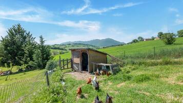 อพาร์ทเมนท์ | สวน