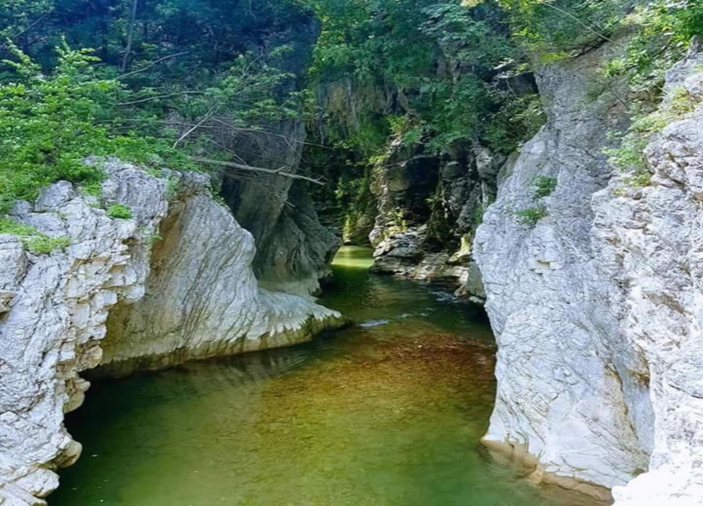 A narrow canyon with a clear water stream surrounded by rocky cliffs and dense greenery.