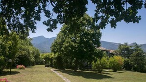 Un jardín con un sendero de piedra, abundante vegetación y montañas al fondo.