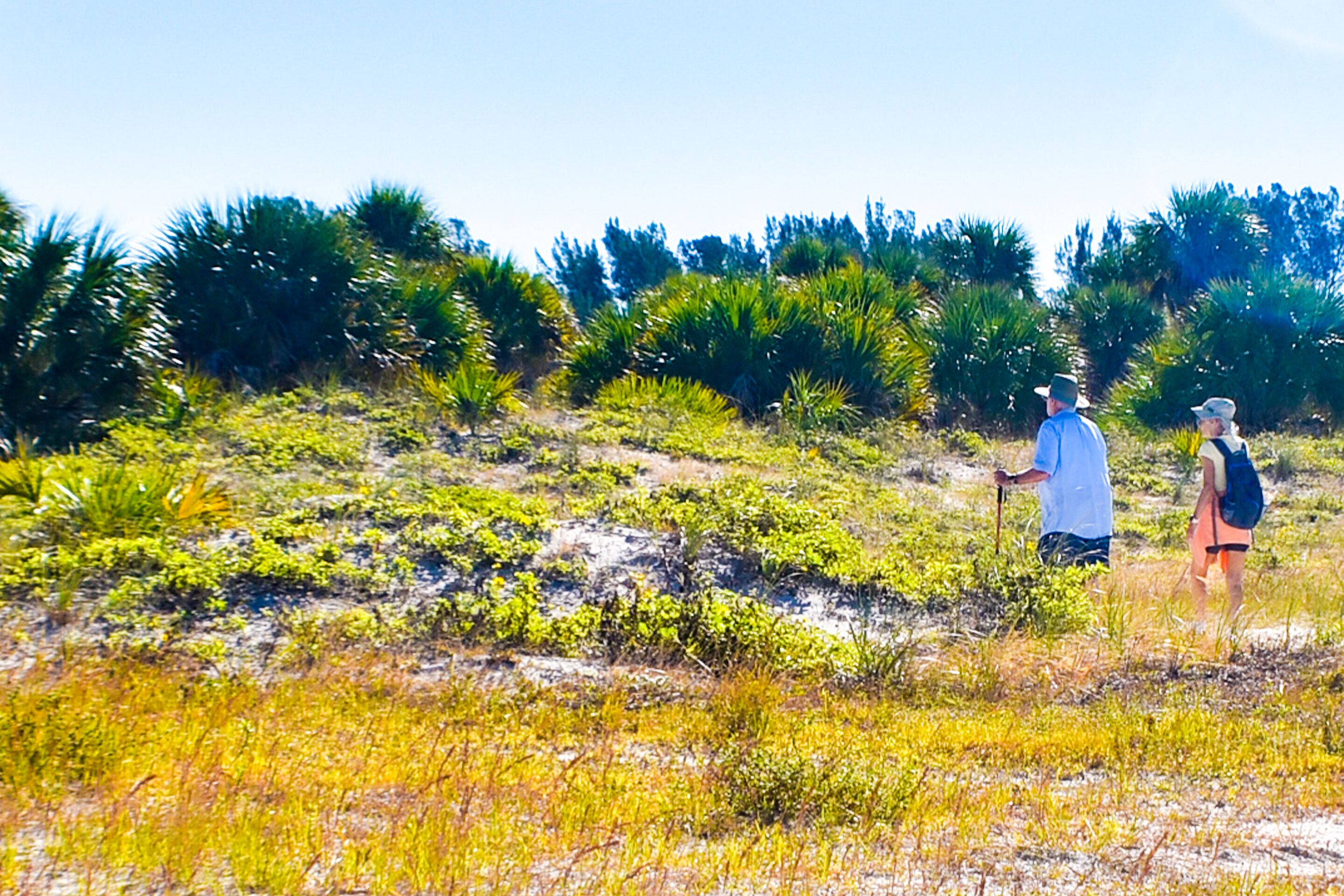 A natural landscape with a person hiking.