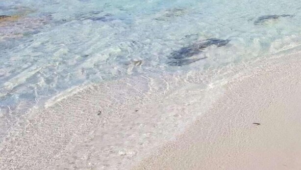 海灘