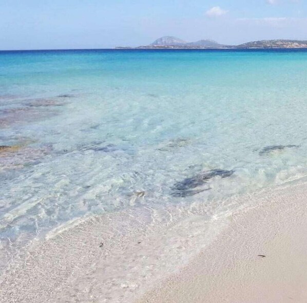 Beach - Micalosu Hotel (Arzachena)