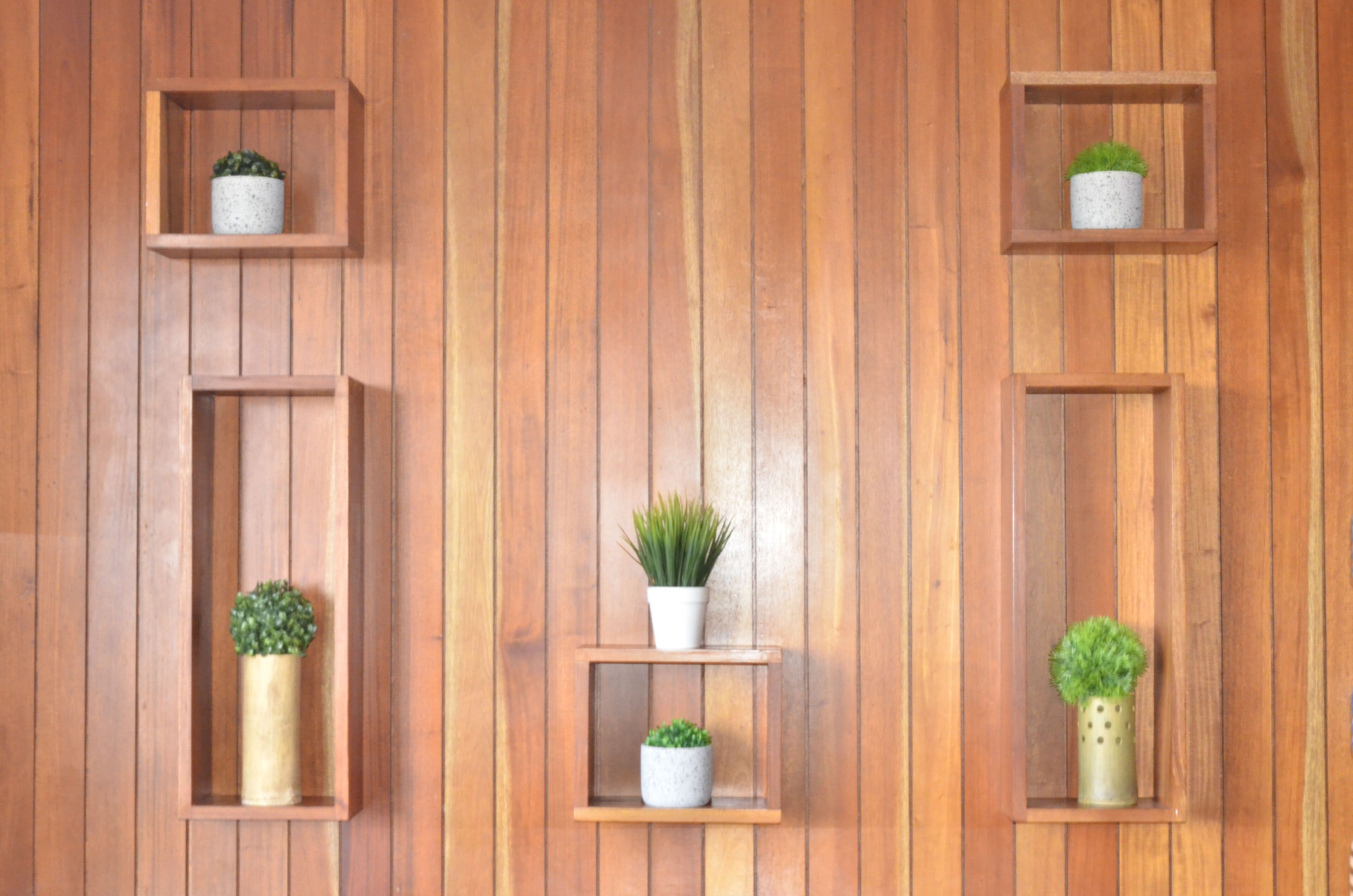 Un mur en bois avec trois étagères, chacune supportant un pot contenant une plante.