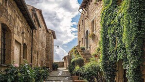 A narrow cobblestone street flanked by historic stone buildings with arched windows and covered with ivy.