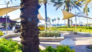 A palm tree, a roundabout with a white planter, and a yellow bus in the background.