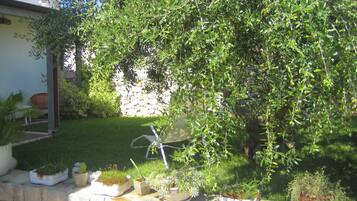 Cottage | Garden