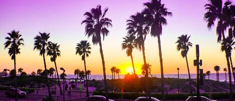 A sunset view with palm trees and a beach in the background.