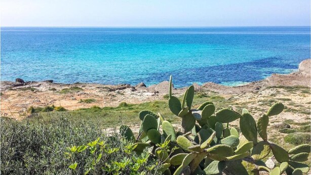 A coastal landscape with a clear view of the sea, rocky terrain, and some vegetation. - Apartment Marina di Mancaversa by Ionian Sea (Taviano)