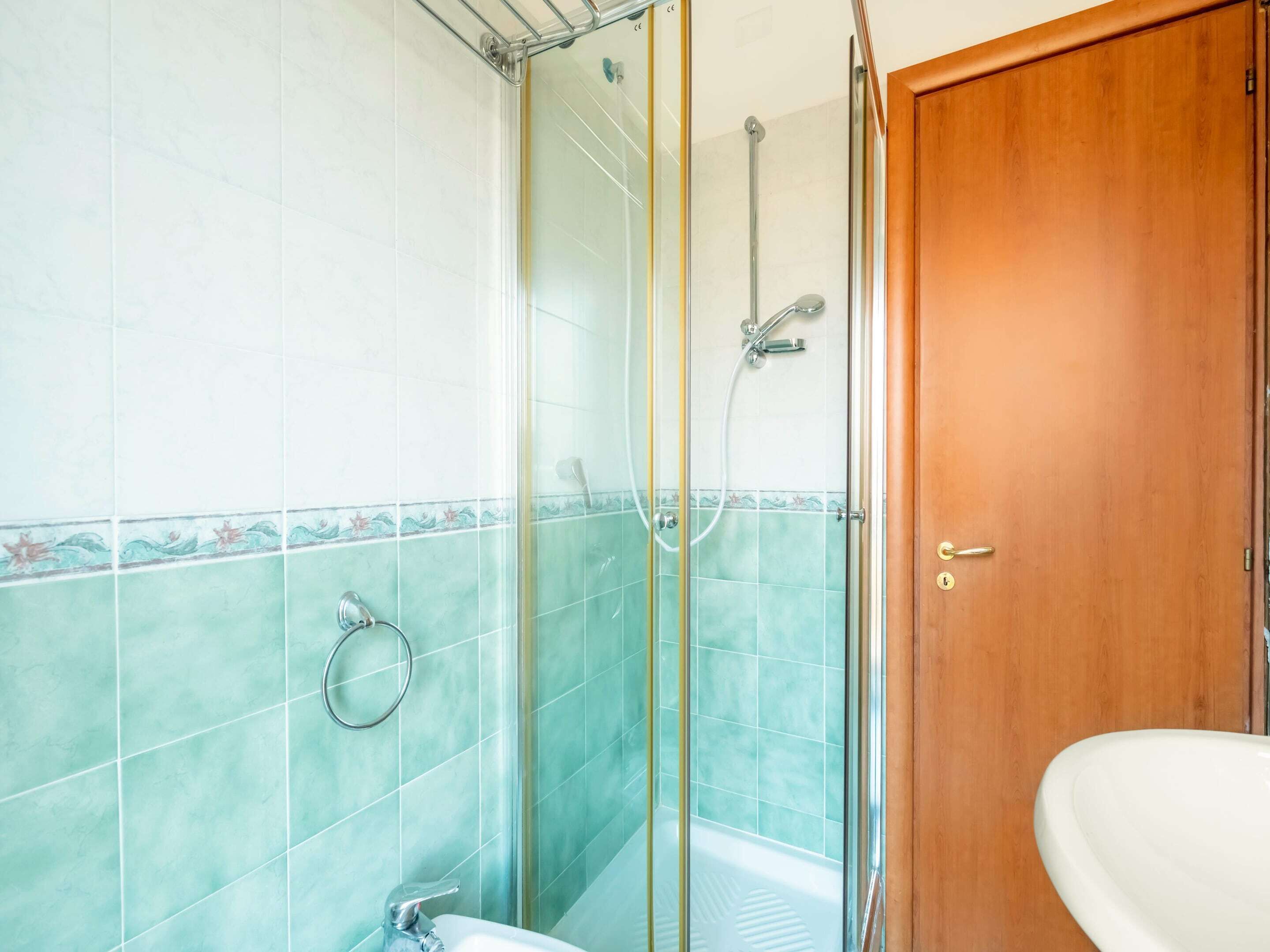 Un baño con cabina de ducha de vidrio, una puerta de madera y un lavamanos blanco.