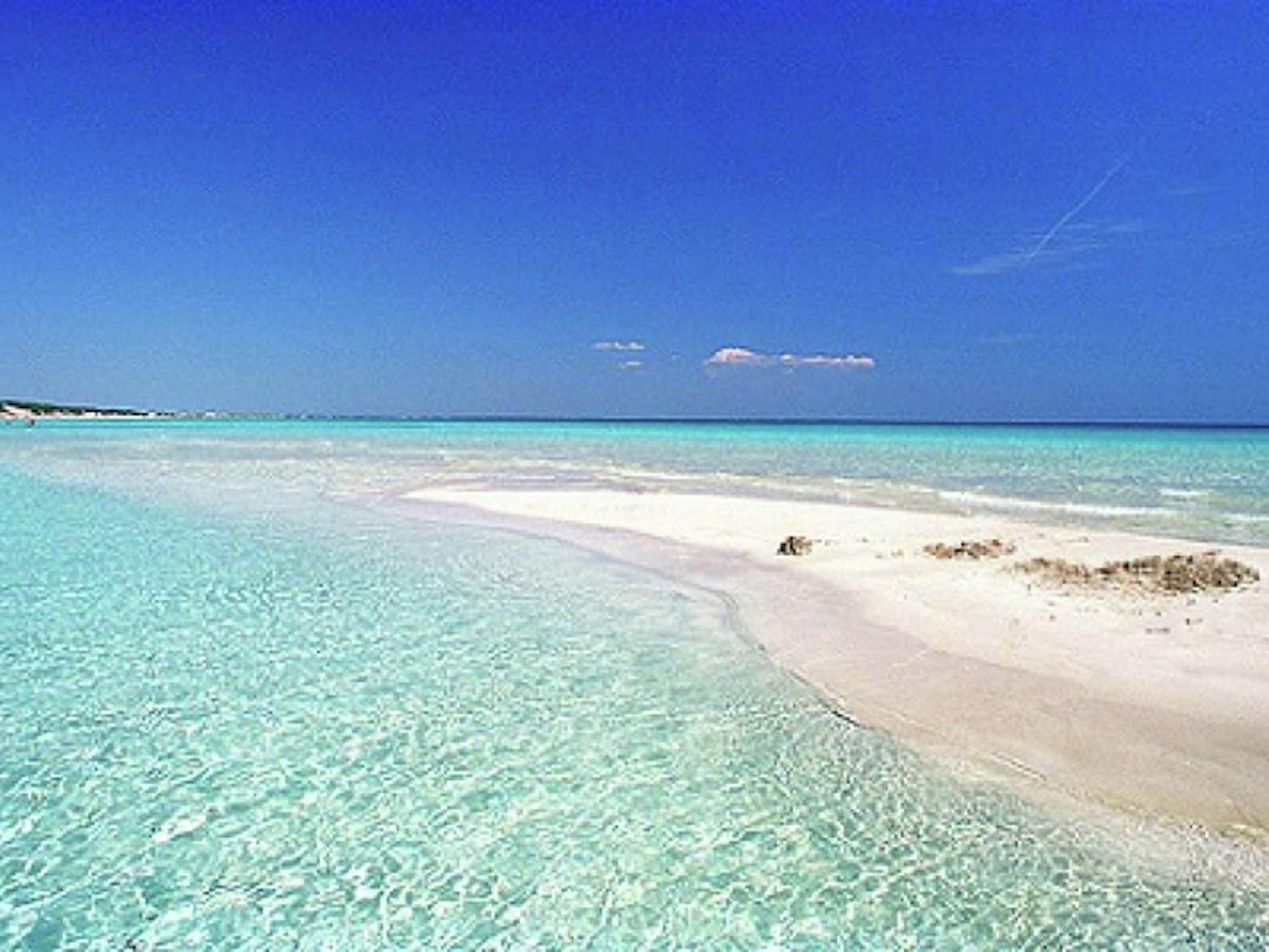 Villa | Udsigt fra overnatningsstedet