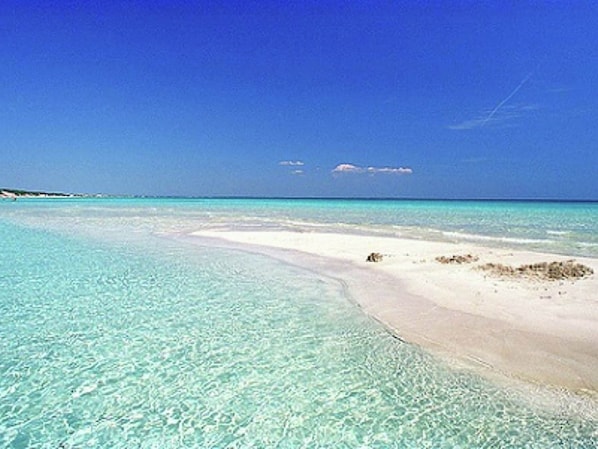 Vila | Pemandangan dari properti