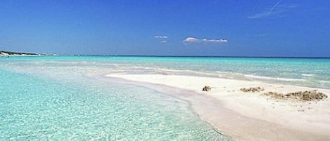 Villa | Vue depuis lâhĂ©bergement