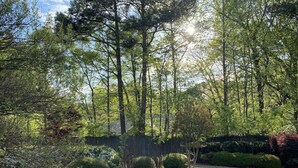 A garden with a stone fire pit surrounded by rocks and gravel, a wooden fence, and various trees and shrubs. - Perfect luxury home, close to social settings but far enough for peace. (Acworth)