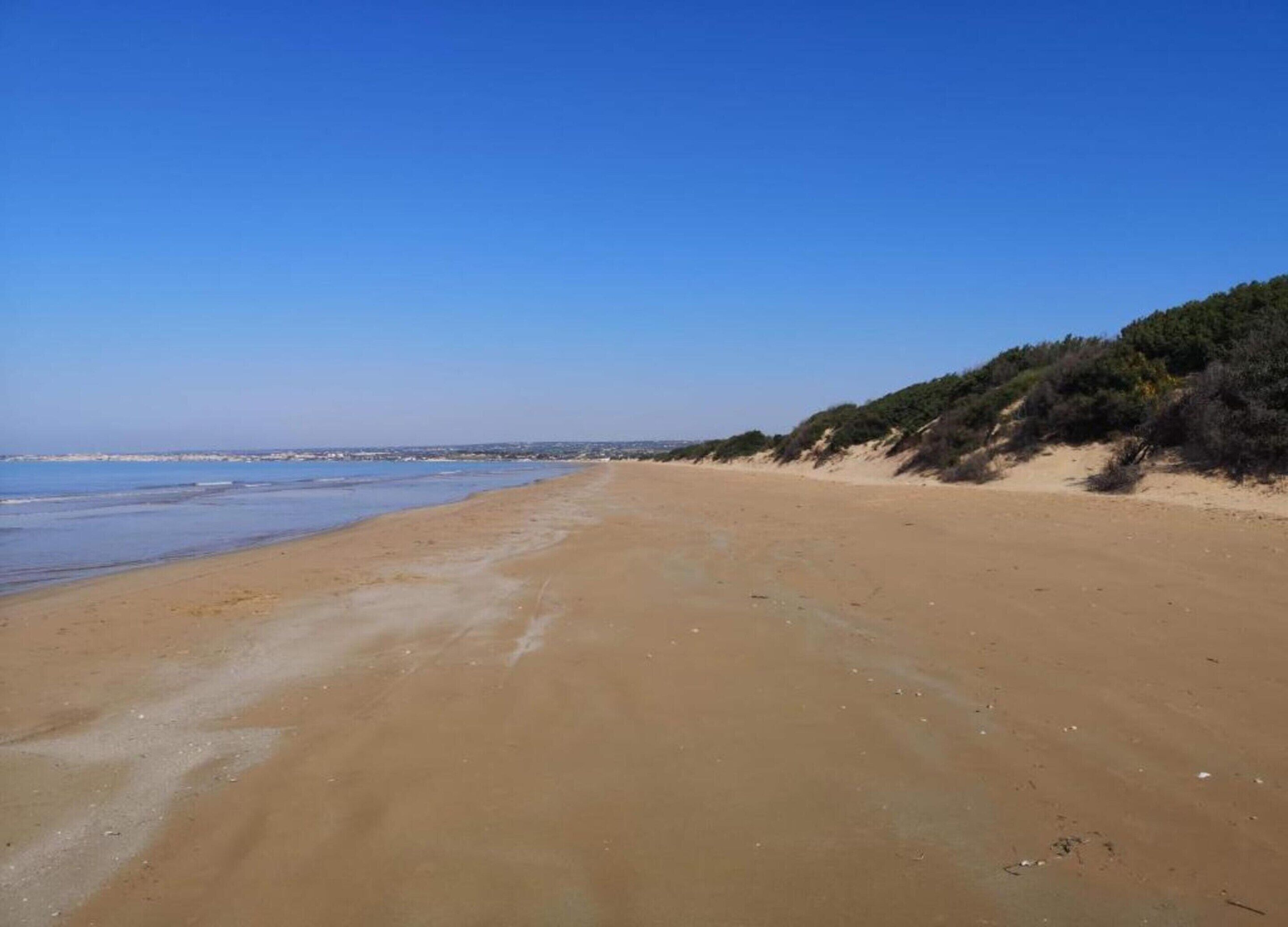 Une vaste plage de sable fin, avec des vagues douces, un ciel bleu clair et, en arrière-plan, une colline boisée.