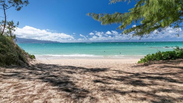 Una playa con agua turquesa cristalina, una orilla de arena y algo de vegetación.