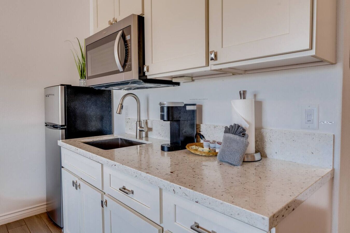 Frigorífico, microondas, horno y placa de cocina