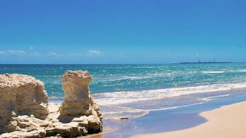 House | Pemandangan dari hartanah