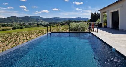 Villa piscine avec vue sur les vignes de Rasteau et le Mont Ventoux