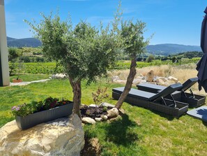 Property grounds - Villa with Infinity Pool and Stunning Views in Provence (Rasteau)