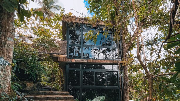 A stone staircase leading to a modern building with large windows, surrounded by lush greenery and trees. - Taino Beach Lofts (Samaná)