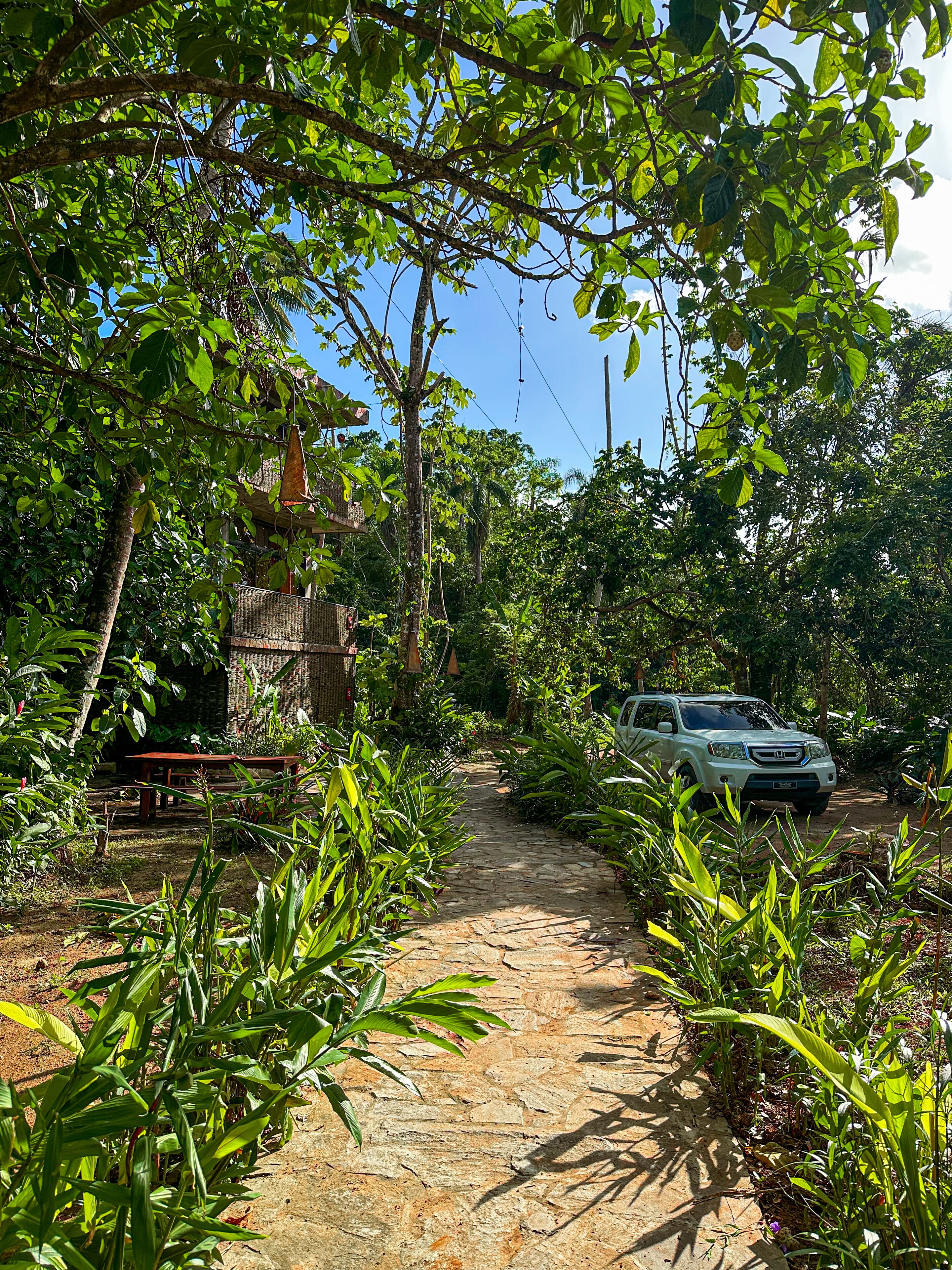 Un chemin de pierres traverse un jardin luxuriant, et une voiture blanche est garée sur le côté.
