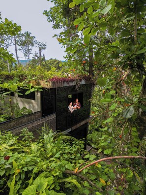 Taino Jungle Loft 2 | Terrace/patio