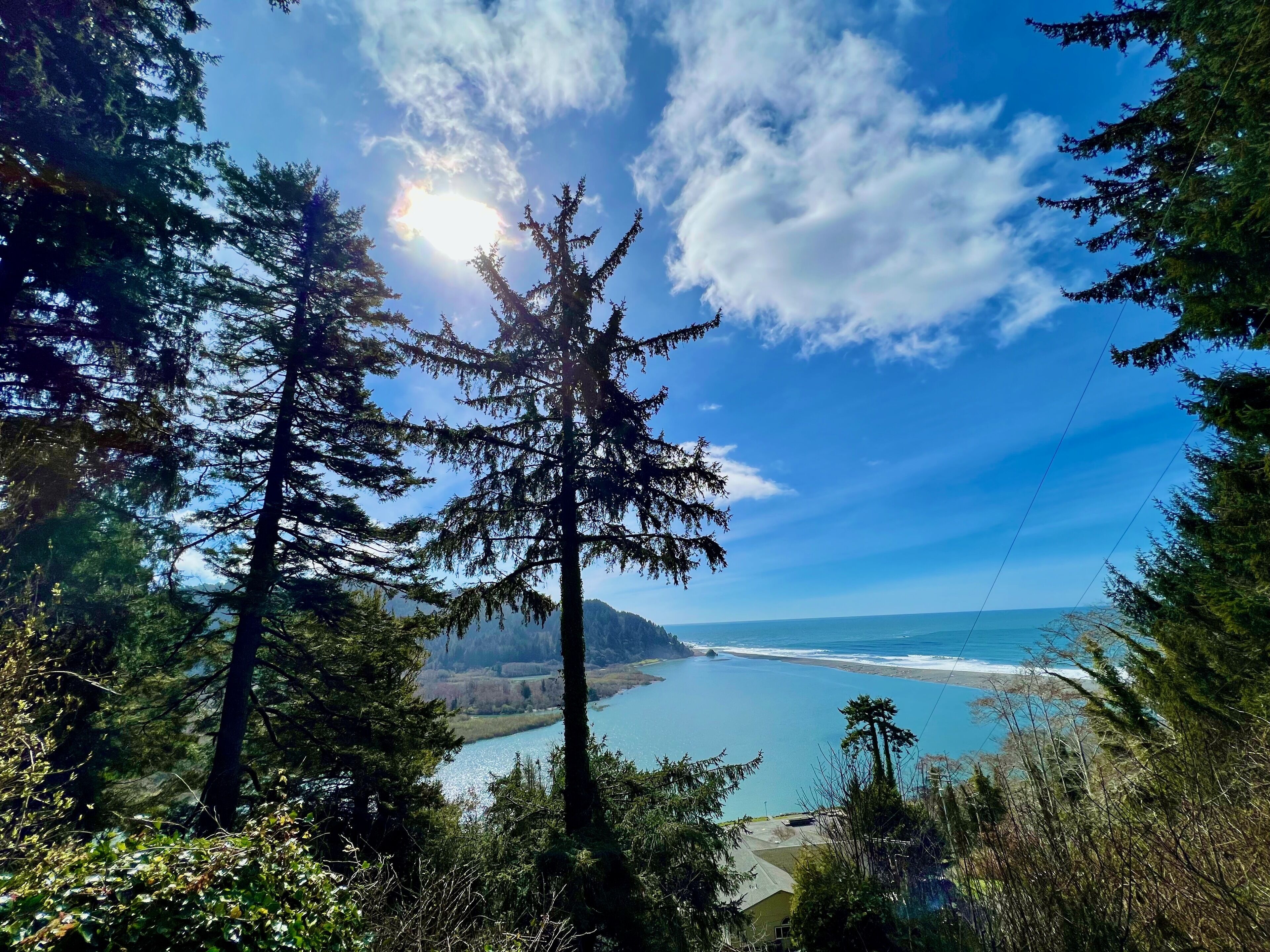 Un paysage côtier caractérisé par une forêt dense et une vue dégagée sur la mer.
