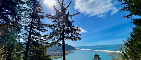 Un paysage côtier caractérisé par une forêt dense et une vue dégagée sur la mer.