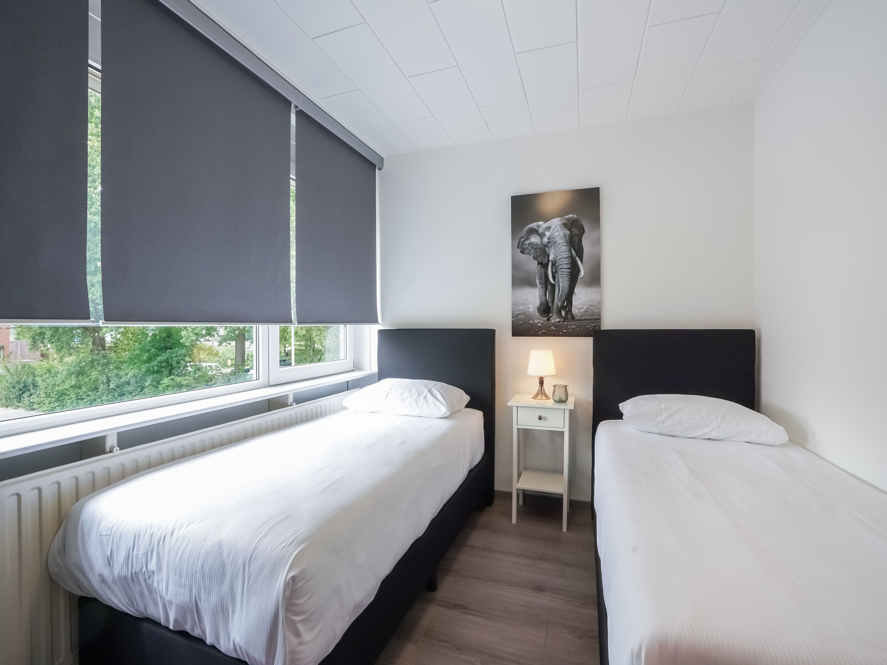 A hotel room with two beds, a window with blinds, a nightstand with a lamp, and a wall-mounted picture of elephants.