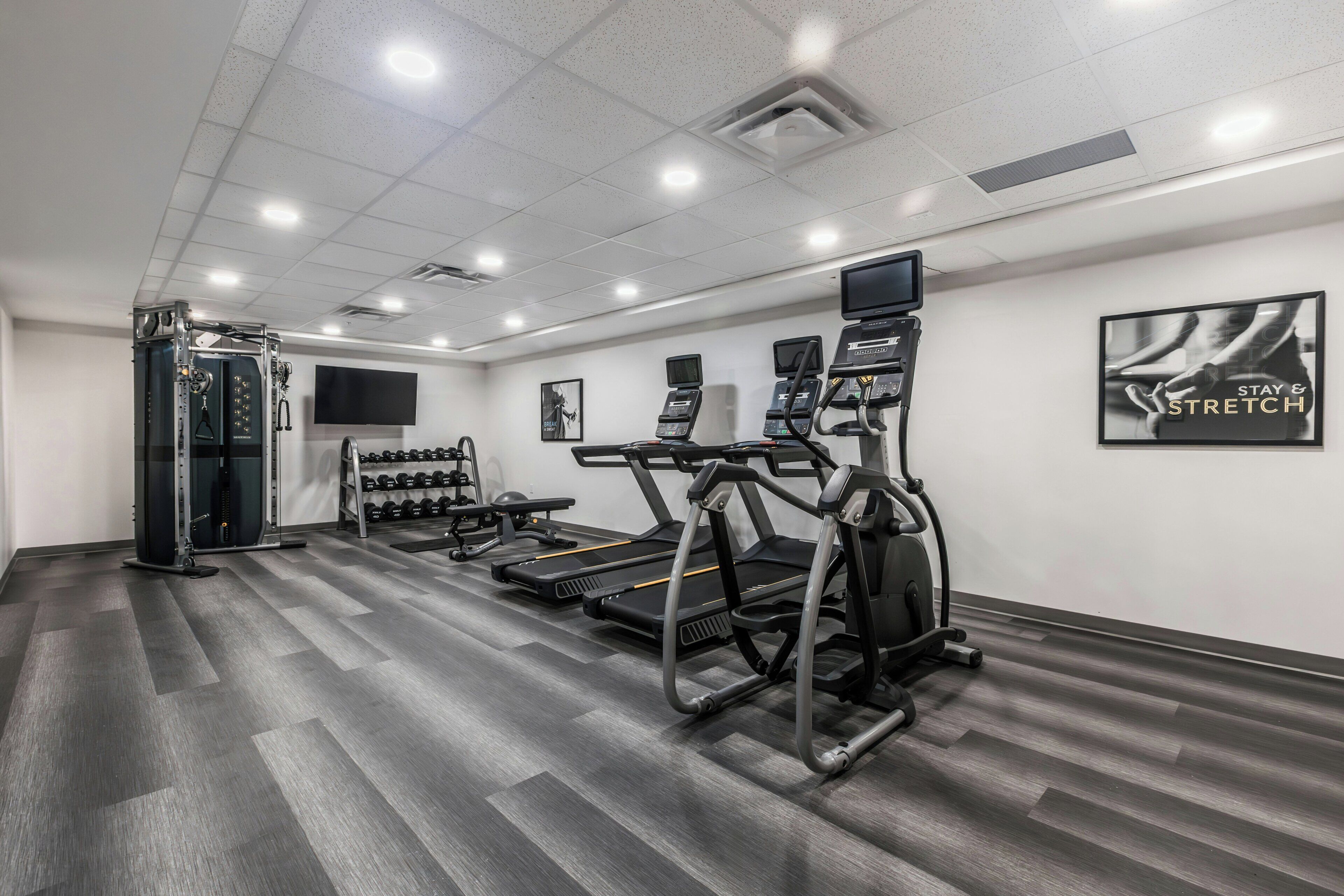 A gym with treadmills, weight machines, and a TV screen.