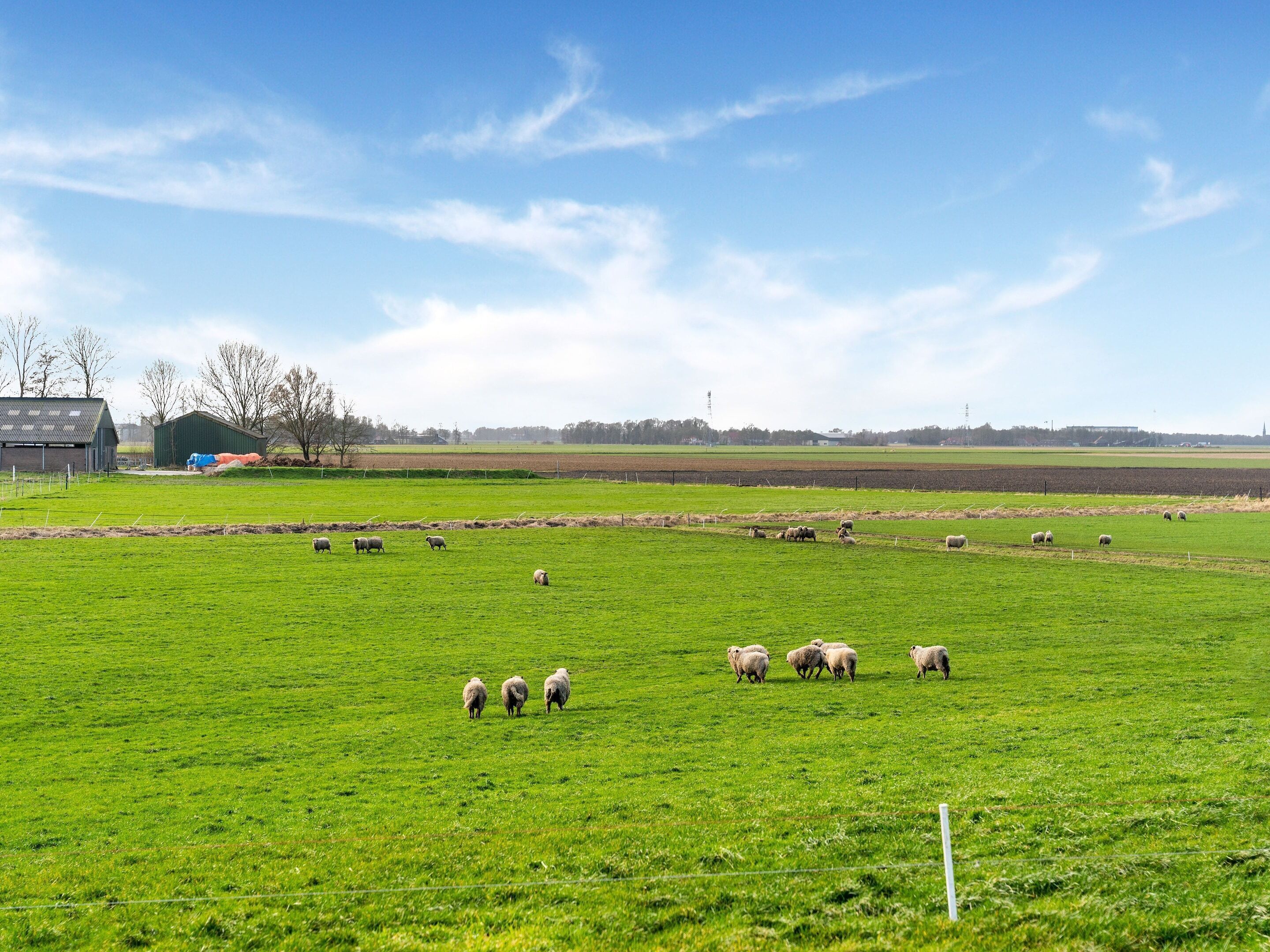 A rural landscape with a green field, a few sheep, and a building in the background.