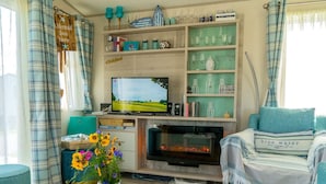 A cozy living room with a fireplace, a television, and a bookshelf. - Chalet in Oostkapelle Near the Beach (Oostkapelle)