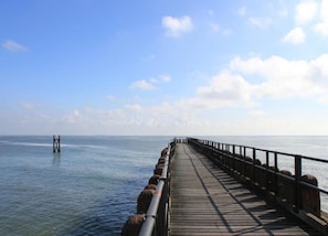 Maison | Vue depuis l’hébergement