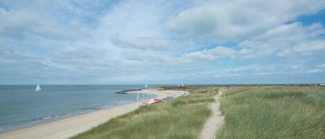 House | View from property