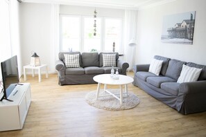 TV, DVD player, books, video library