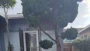 A house with a red pathway leading to the front door, surrounded by a well-maintained lawn and potted plants. - MB Gem 2 - 1.3Miles To Beach, Close To LAX & Park (Manhattan Beach)
