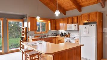 KĂŒhlschrank, Mikrowelle, Ofen, Herdplatte