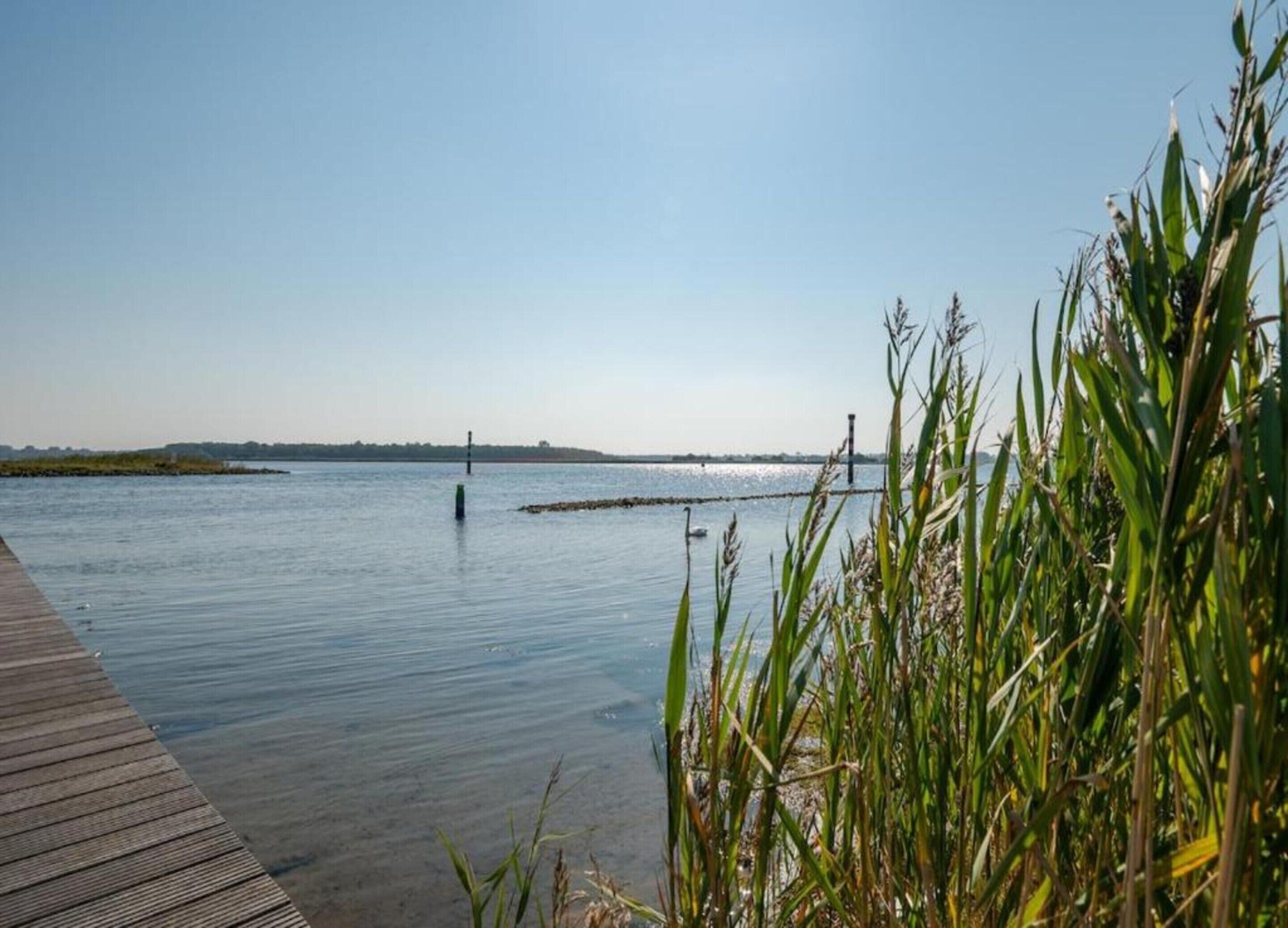 Una masa de agua tranquila con un muelle de madera que se adentra en ella.