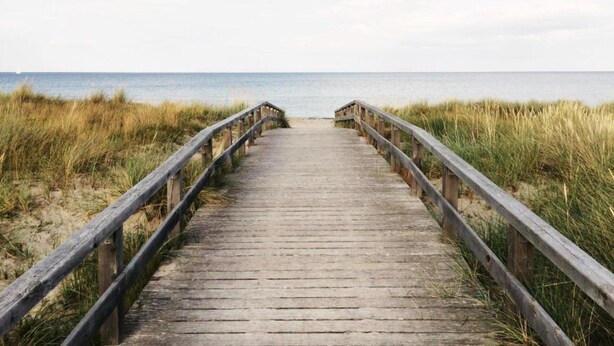 A wooden boardwalk leading to the beach, flanked by grassy dunes. - Luxury Apartment in Kamperland (Kamperland)