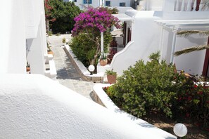 Property grounds - Domna Petinaros (Mykonos)
