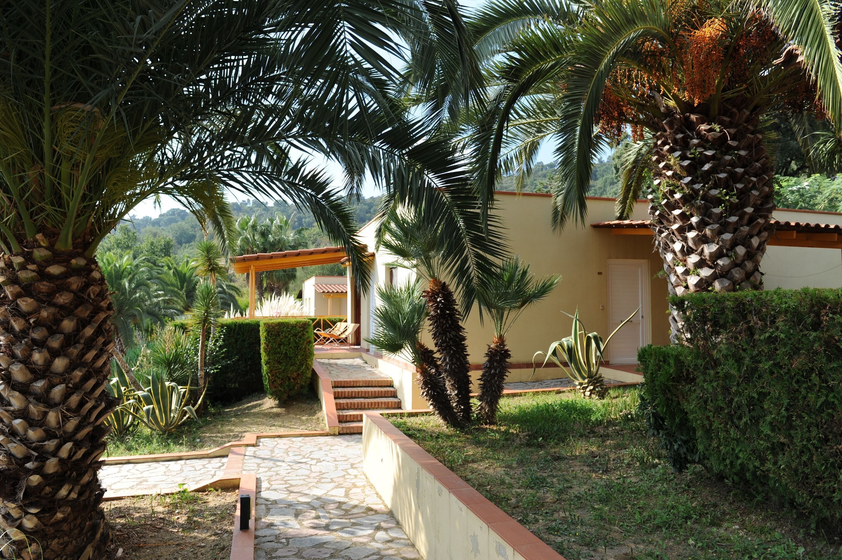A garden pathway leading to a building with a covered seating area, surrounded by palm trees and other greenery.