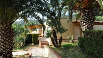 A garden pathway leading to a building with a covered seating area, surrounded by palm trees and other greenery.