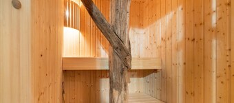 Farmhouse in Staphorst With Sauna