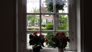 A window with a lace curtain and two potted plants with red flowers. - Farmhouse in Staphorst With Sauna (Rouveen)