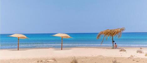 Casa | Vista desde la propiedad